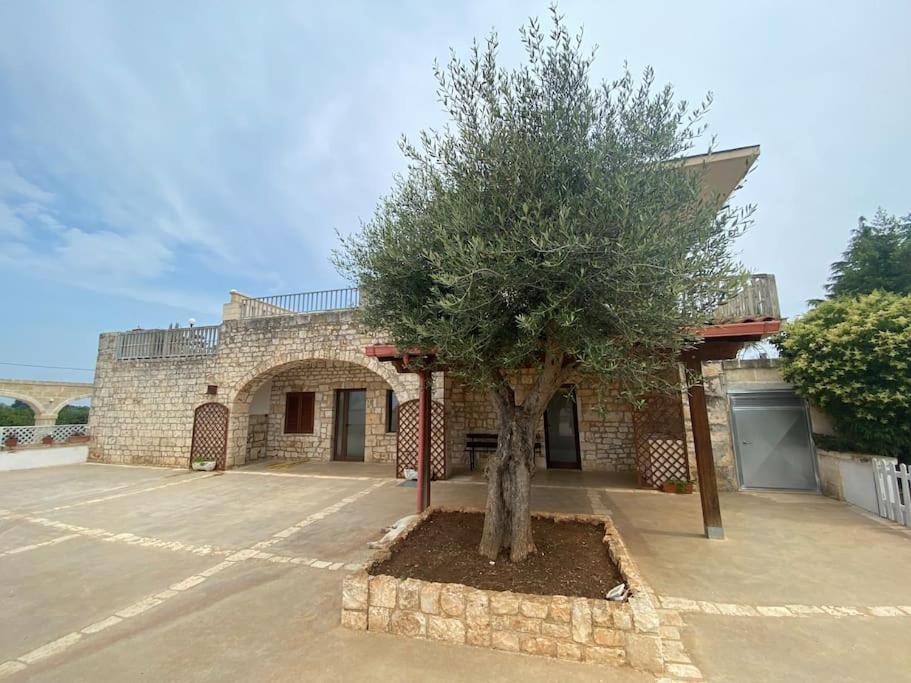 Villa Coco מונופולי מראה חיצוני תמונה